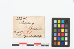 Etikett zu Bronzegürtelhaken (NHMW-PRAE-025321)